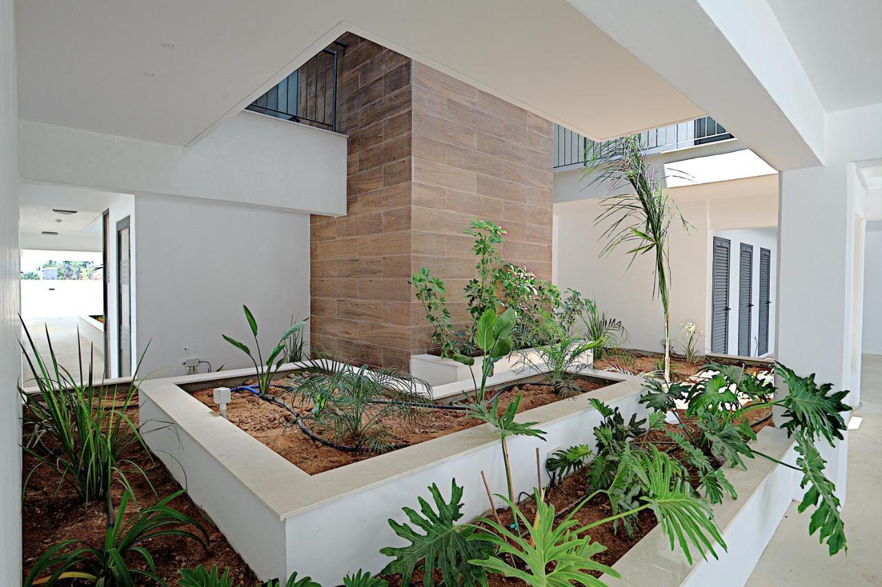 Golden Tree Apartment Paralímni Extérieur photo